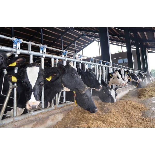 OPREMA ZA  HLEV KATALOG