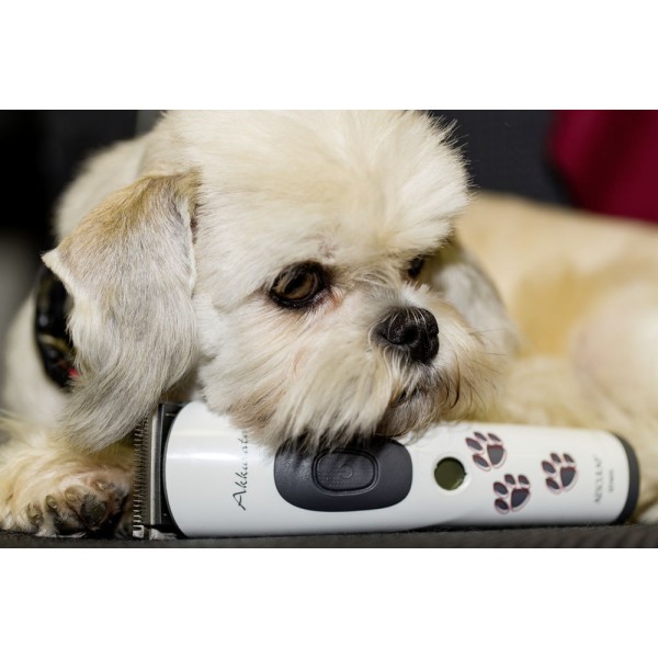 Ščipalka z akumulatorom Aesculap Akkurata