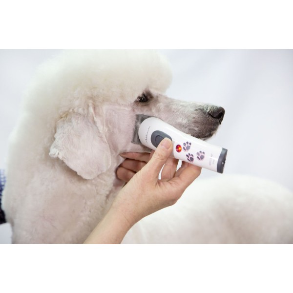 Ščipalka z akumulatorom Aesculap Akkurata