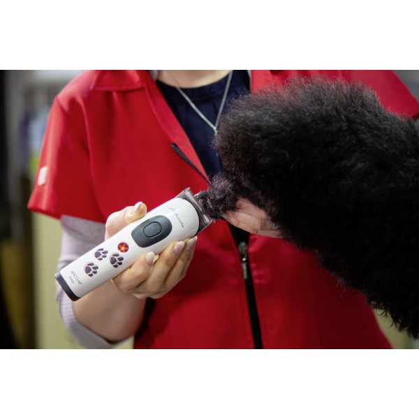 Ščipalka z akumulatorom Aesculap Akkurata