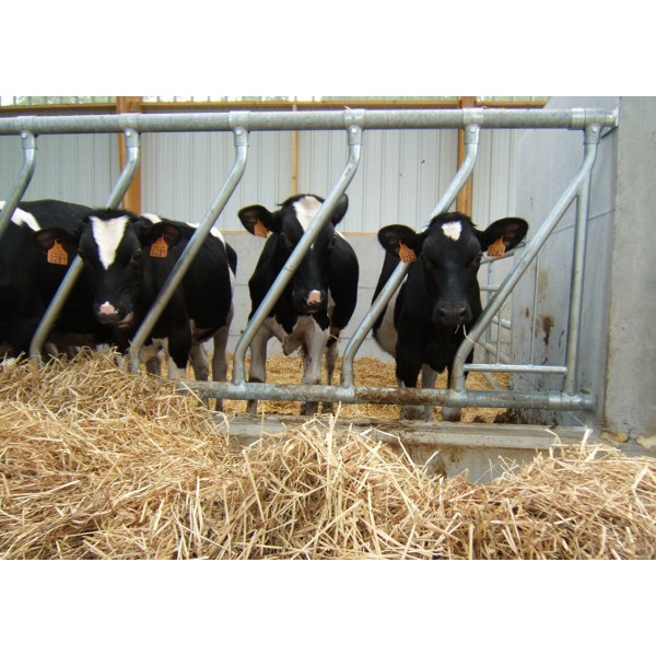 Modularna diagonalna krmna pregrada 