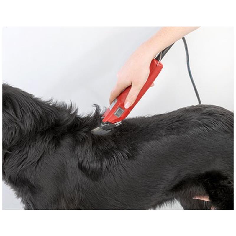 Aesculap strižni aparat Favorita SPEED