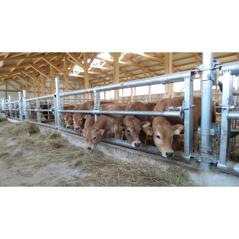 Krmna pregrada 3- cevna