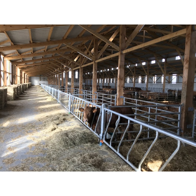 Diagonalna krmna pregrada