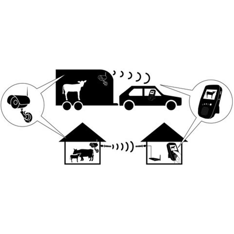 Stall- & Anhängerkamera-Set 2,4 GHz