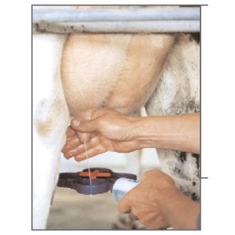 Kontrolna plošča za mastitis orig. SHOOF