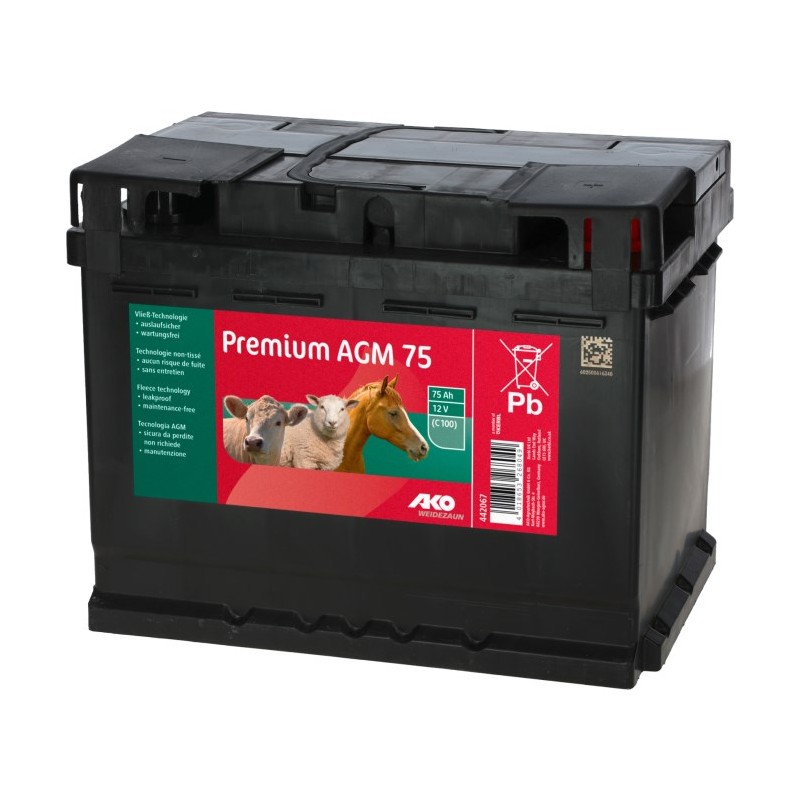 Premium AGM Batterie 12V, 75 Ah