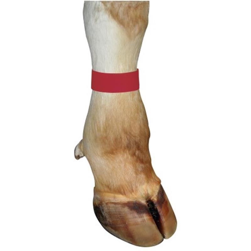 Trak za noge - 10 kom/pak