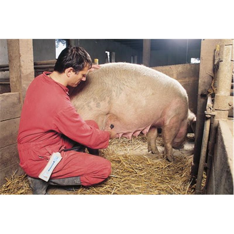 HK diagnostični aparat brejosti za svinje s sondo na kablu