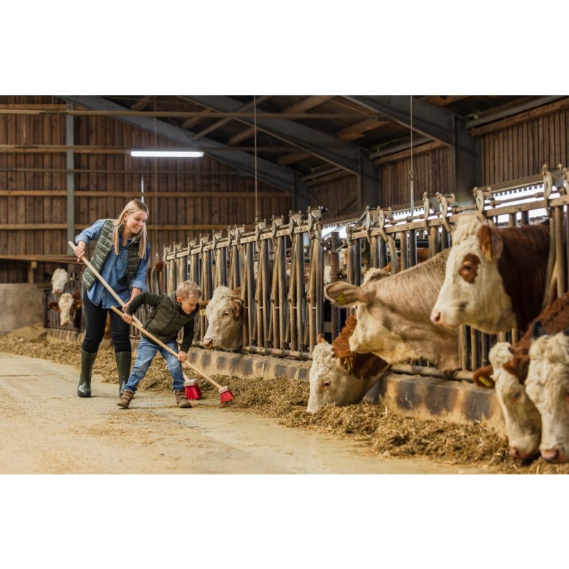 Metla za pometanje cest Mini, otroška