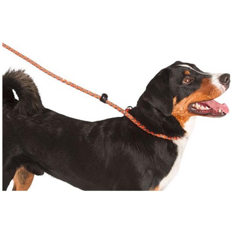 Slip povodec Maxi Safe - neon oranžen 170 cm