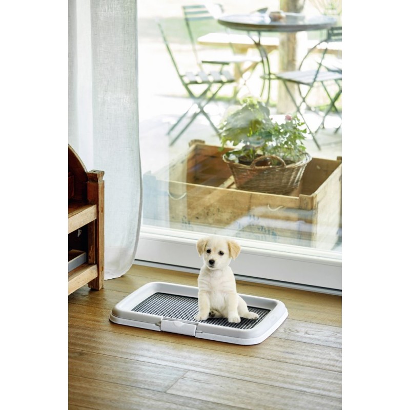  Puppy Toilet Puppy Training Set