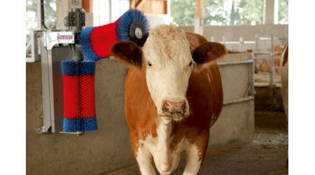 OPREMA-ZA-REJO-IN-HLEVE-