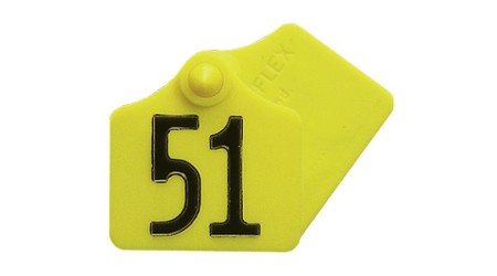 Usesne-stevilke-in-klesce-