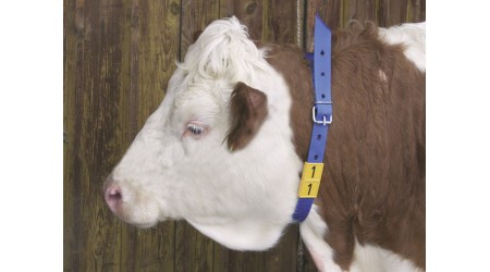 Ovratnice-in-stevilke-za-ovratnice