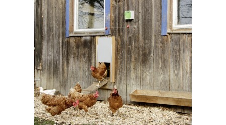 Automatika-za-vrata-kokosinjca-