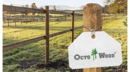 Drveni-stupovi-OCTO-WOOD