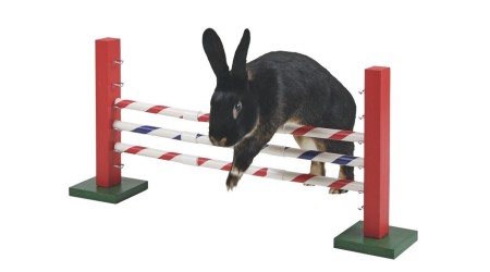 Agility