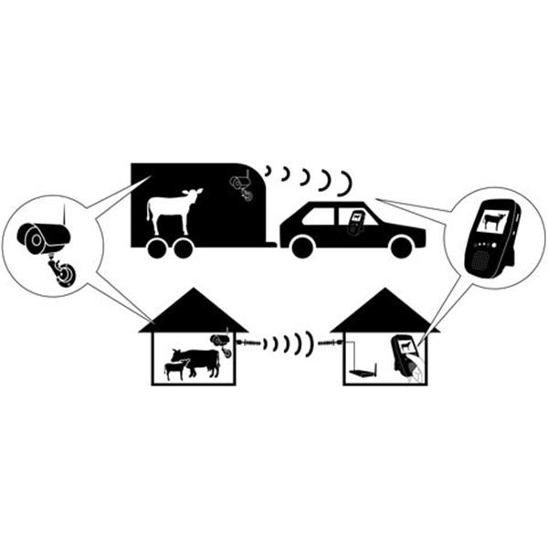 Stall- & Anhängerkamera-Set 2,4 GHz