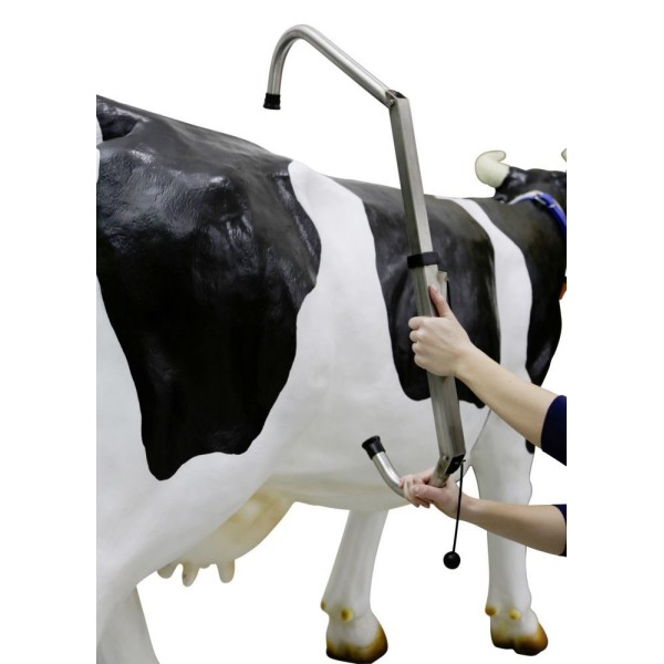 Kolčna spona FlexCow