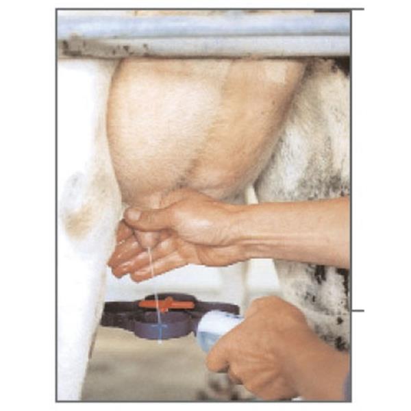 Kontrolna plošča za mastitis orig. SHOOF