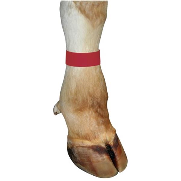 Trak za noge - 10 kom/pak