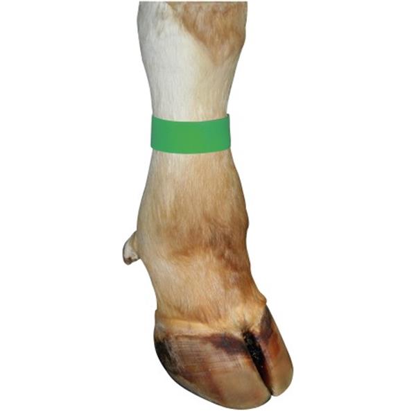 Trak za noge - 10 kom/pak