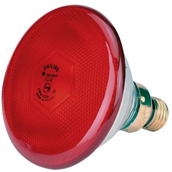 PHILIPS varčna grelna žarnica - rdeča 175 W
