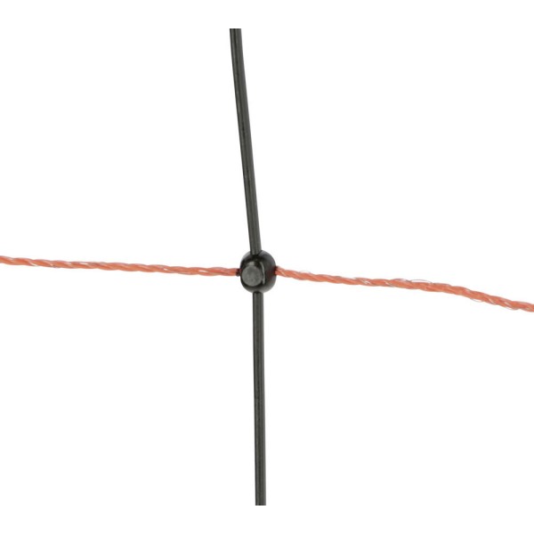 TitanLight Net
