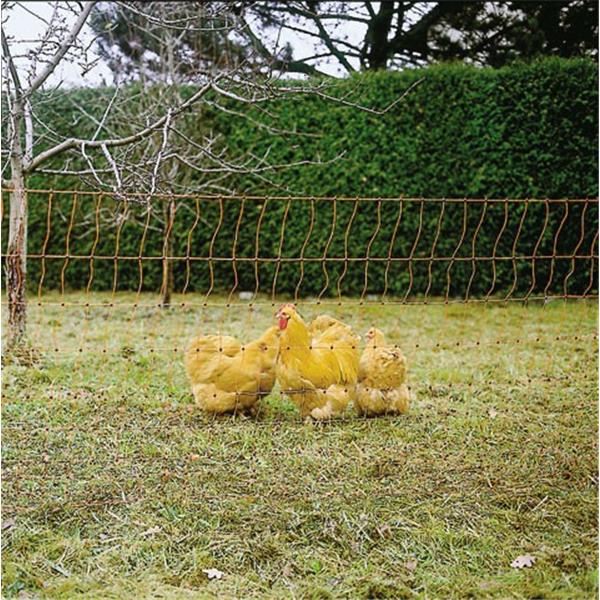 PoultryNet orange, elektrifizierbar, 50 m, 112 cm, Einzelspitze