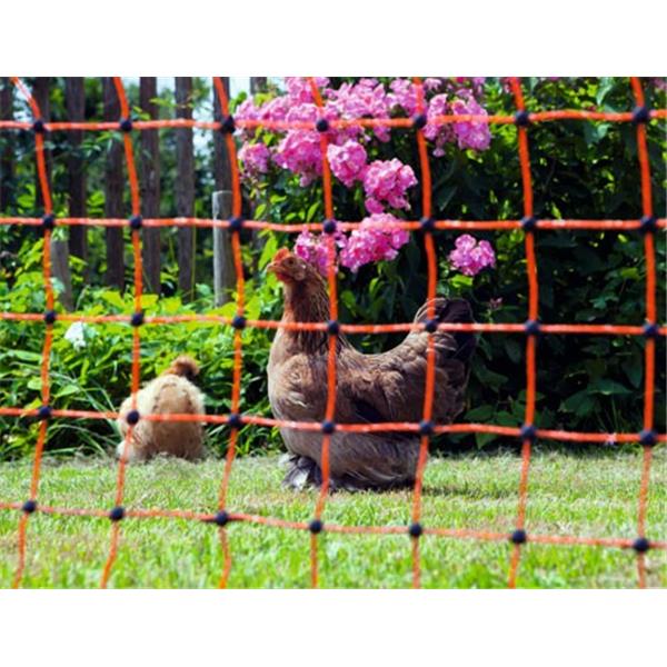 PoultryNet orange, elektrifizierbar, 50 m, 112 cm, Einzelspitze