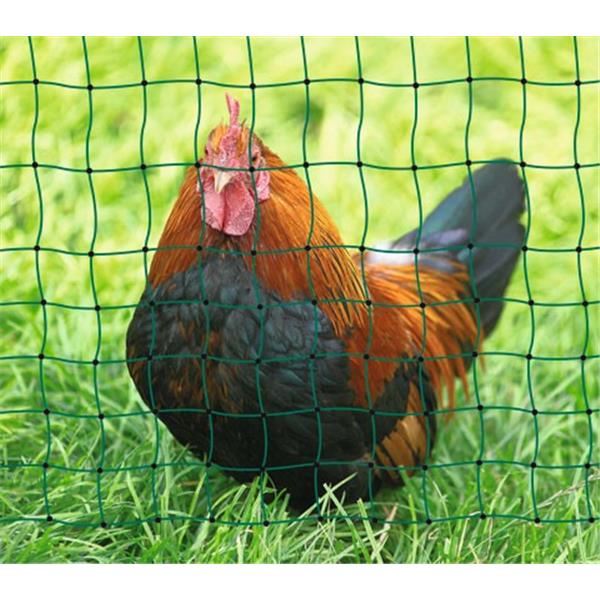 PoultryNet grün, nich elektrifizierbar, 112/1, 25 m