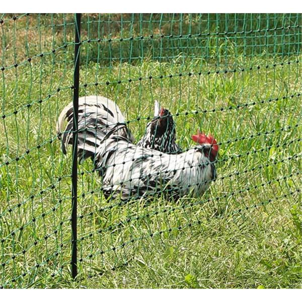 PoultryNet grün, nich elektrifizierbar, 112/1, 25 m