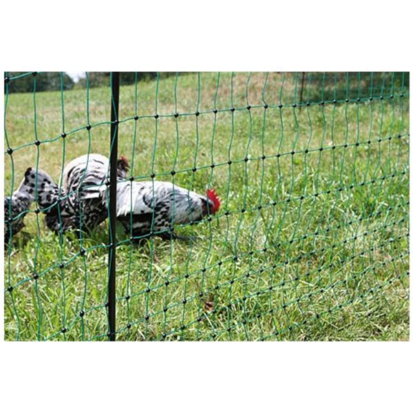 Električna mreža za perutnino PoultryNet - zelena