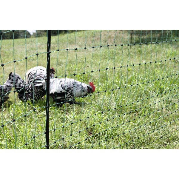 PoultryNet grün, nich elektrifizierbar, 112/1, 25 m