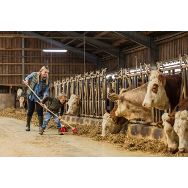 Metla za pometanje cest Mini, otroška