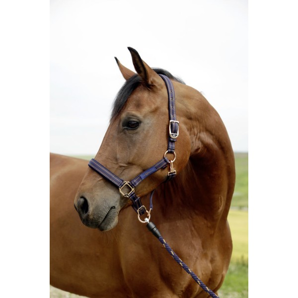 Oglavnica za sistem GoLeyGo 2.0 - velikost 00 FOAL / Mini-Shetland