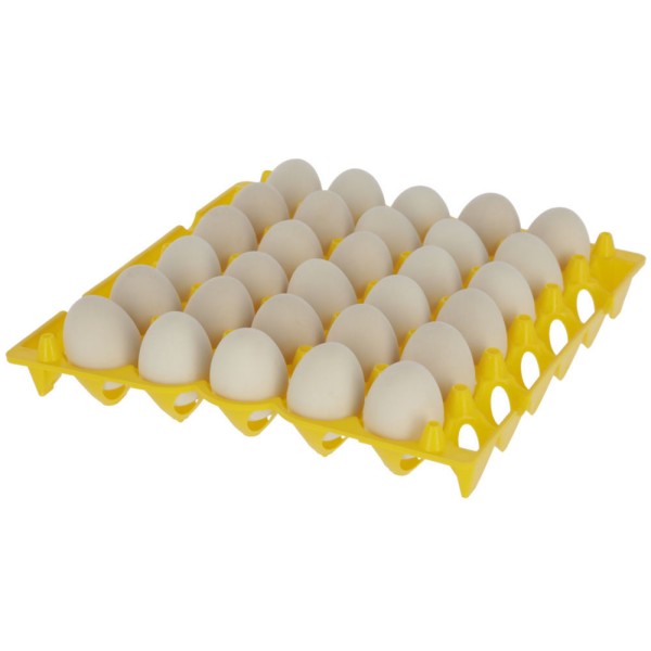 Plošča za shranjevanje jajc 30x30 cm