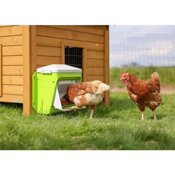 SmartCoop krmni avtomat z zaščitno loputo