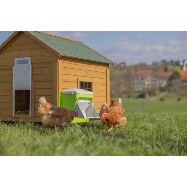 SmartCoop krmni avtomat z zaščitno loputo