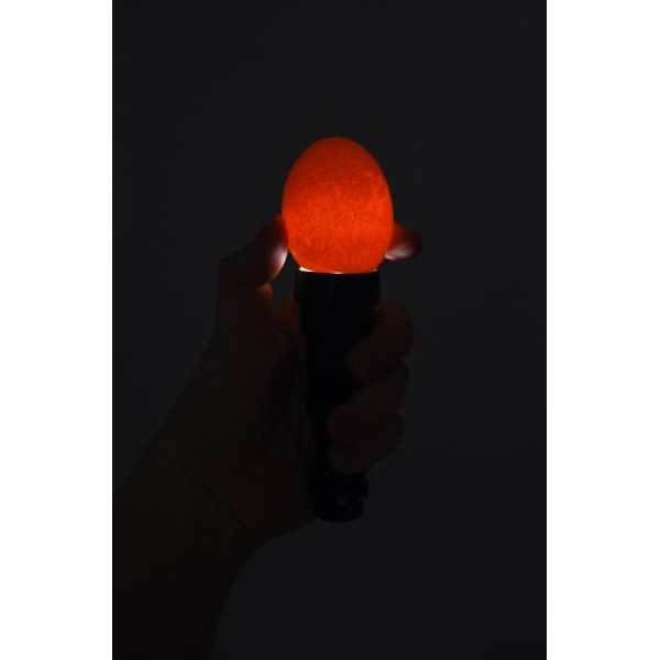 LED lučka za presvetljevanje jajčk