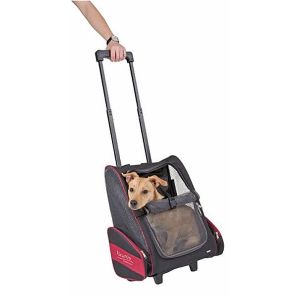 Trolley Vacation