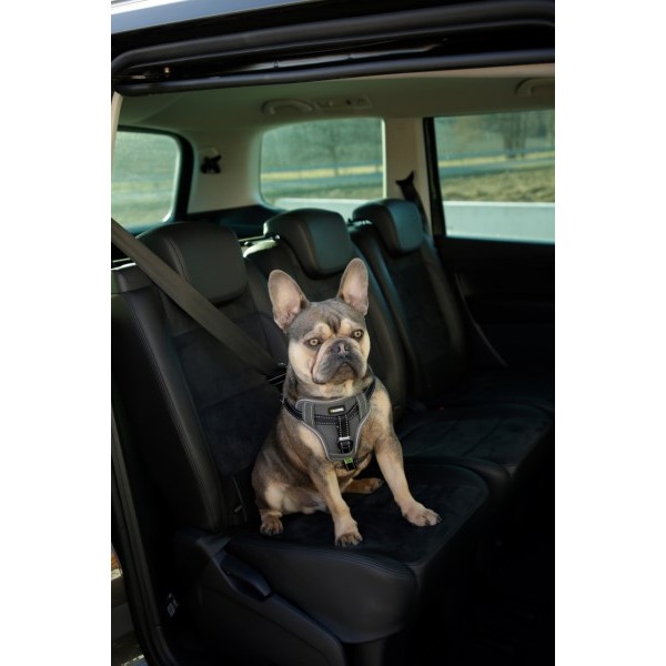 Varnostna oprsnica za v avtomobil, za psa