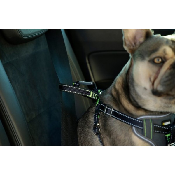Varnostna oprsnica za v avtomobil, za psa