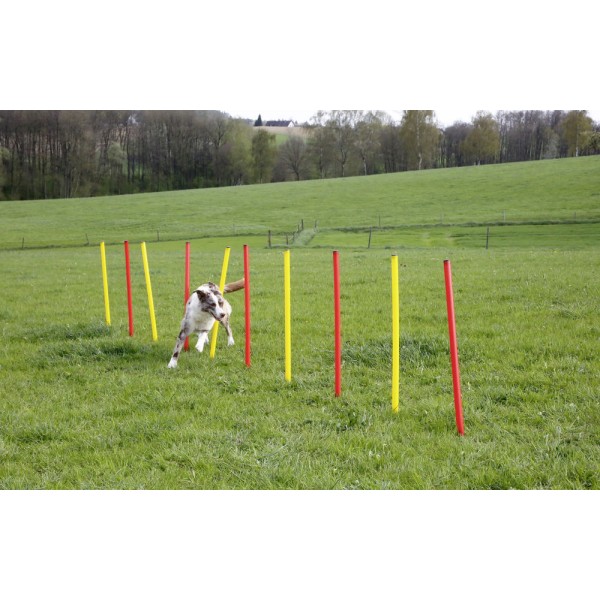 Agility komplet