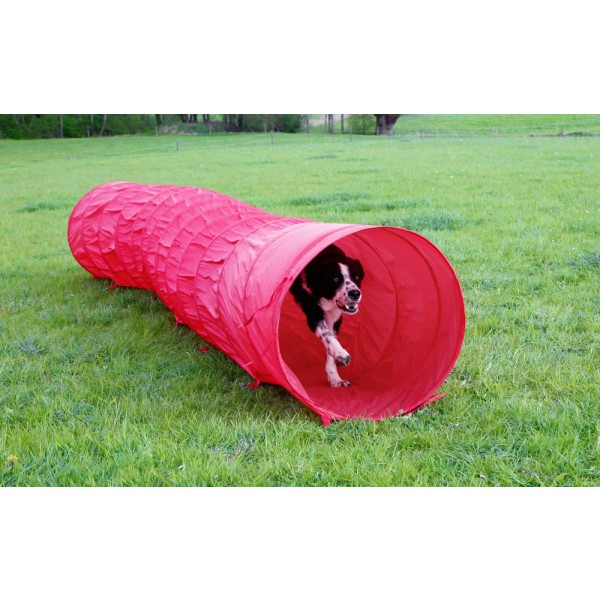 Agility dog ​​tunel