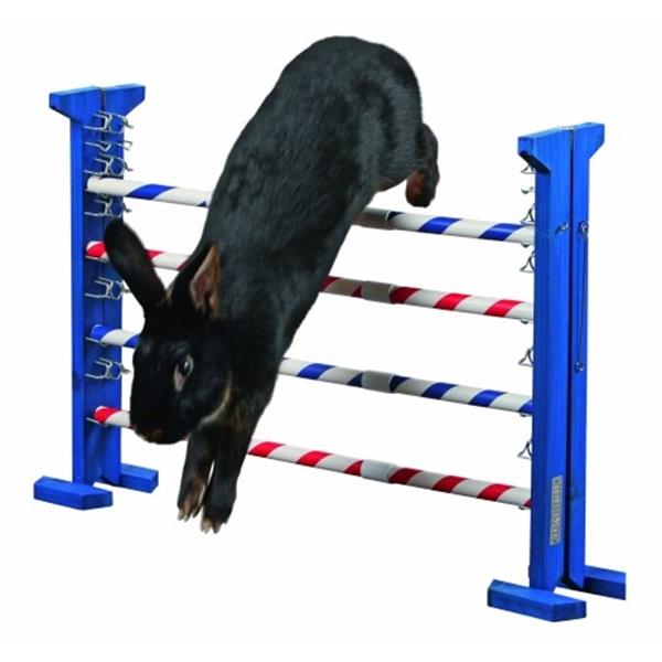 Agility prepreke za glodalce